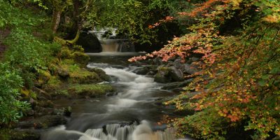 A stream cascades over mossy rocks below Torc Waterfall, surrounded by autumn foliage in Killarney National Park.